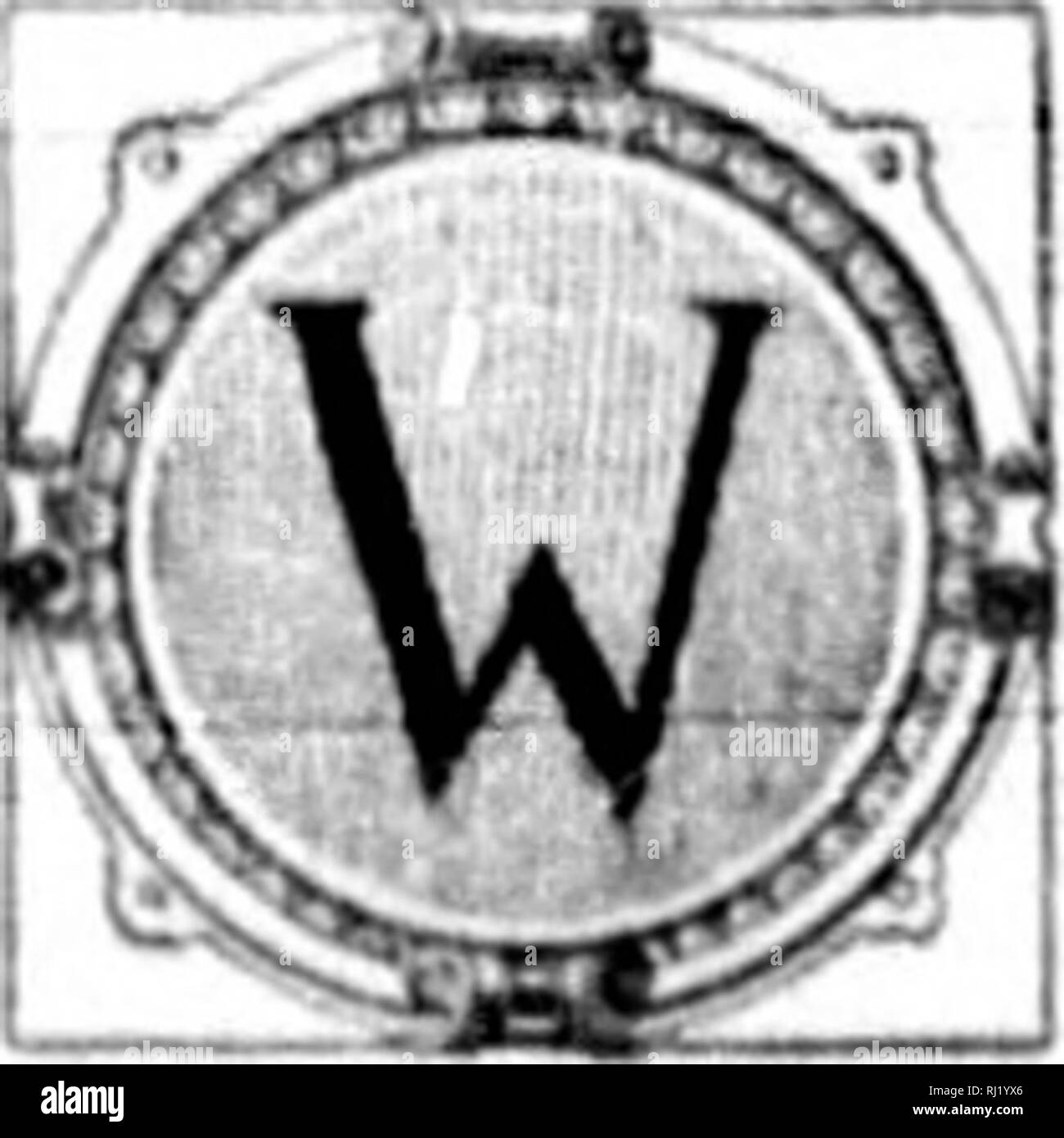 Flores Silvestres De Canada Microforma Flores Silvestres Flores Botanica Fleurs Sauvages Fleurs Botanique Indian Pipe El