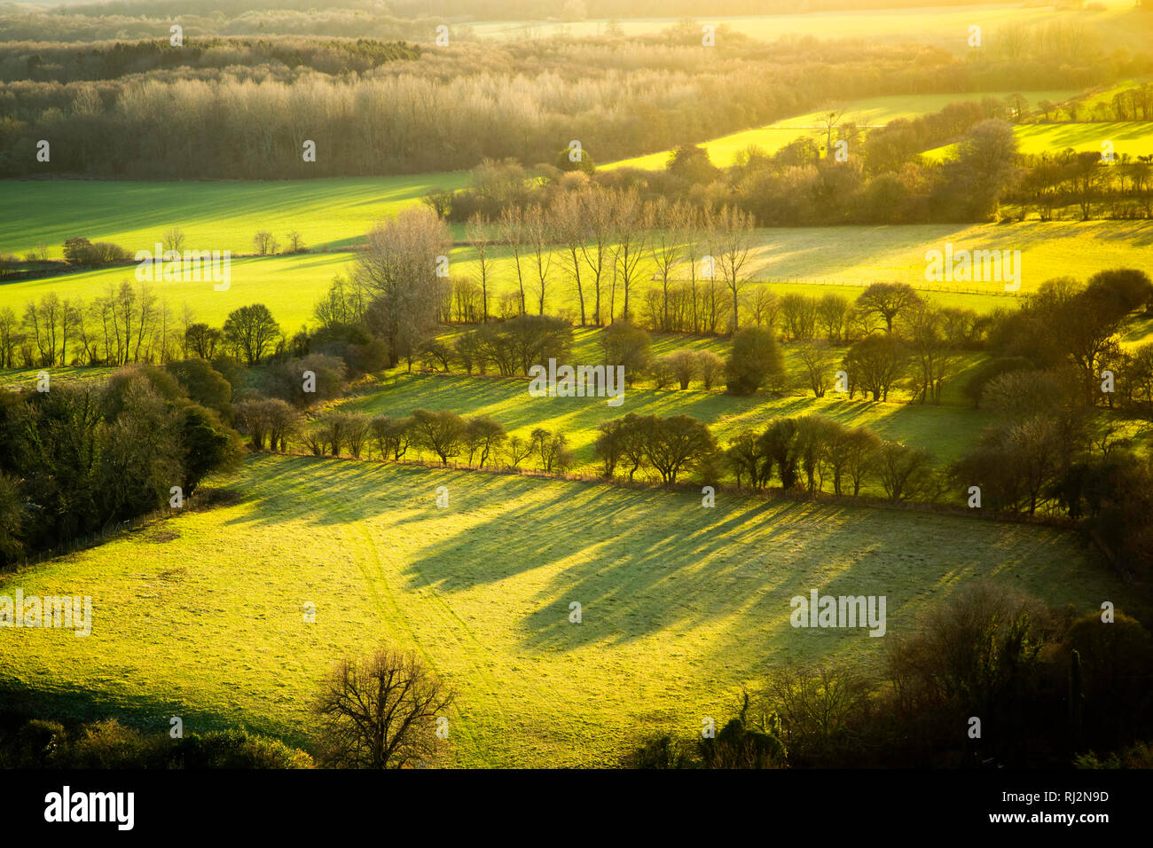 Largas sombras a la vista en esta escena de las Kent Downs, Wye, Kent, Reino Unido de los campos verdes y los árboles de abajo. Tomado a última hora de la tarde en enero. Foto de stock