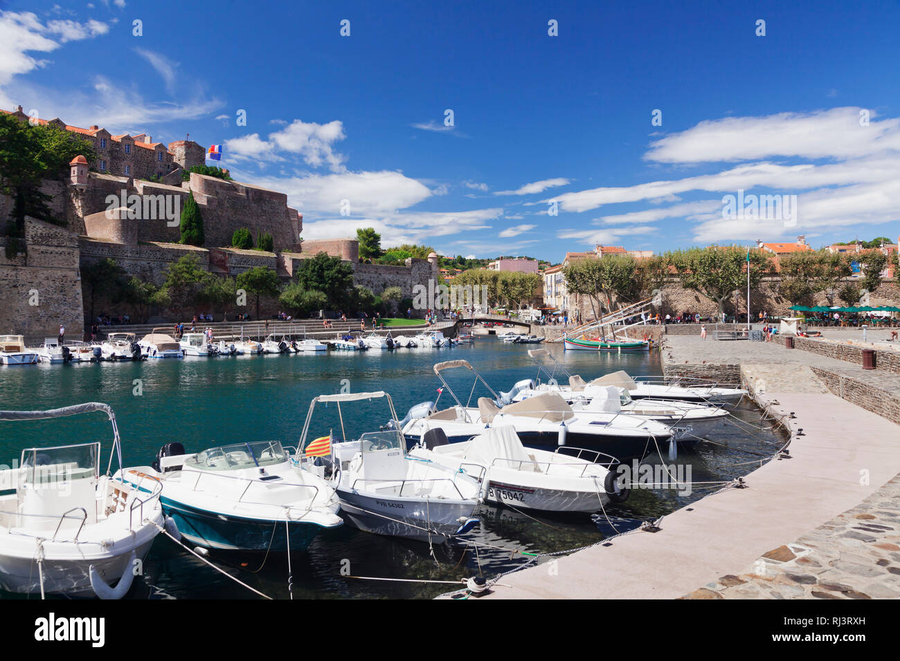 Chateau Royal, Hafen von Collioure, Pyrenäen, Languedoc-Roussillon, Südfrankreich, Frankreich Foto de stock