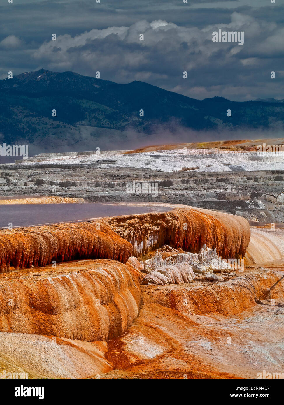 Los muelles de Canarias, Mammoth Hot Spring, el Parque Nacional Yellowstone, Wyoming, EE.UU. Foto de stock