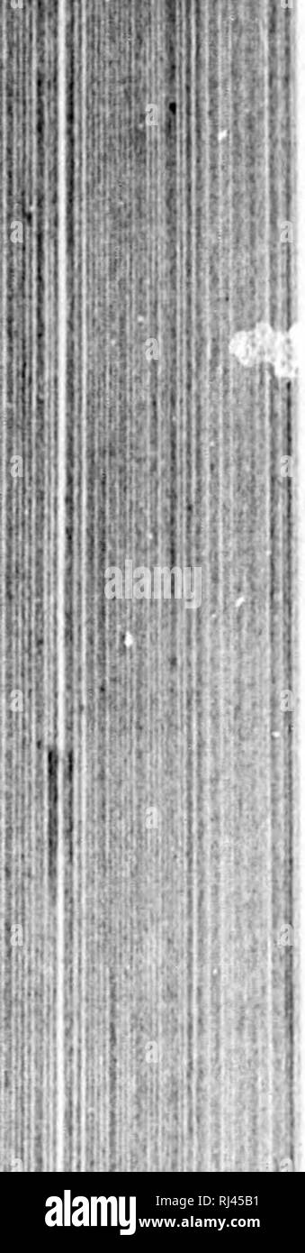 Il 94 Fotos E Imagenes De Stock Pagina 6 Alamy
