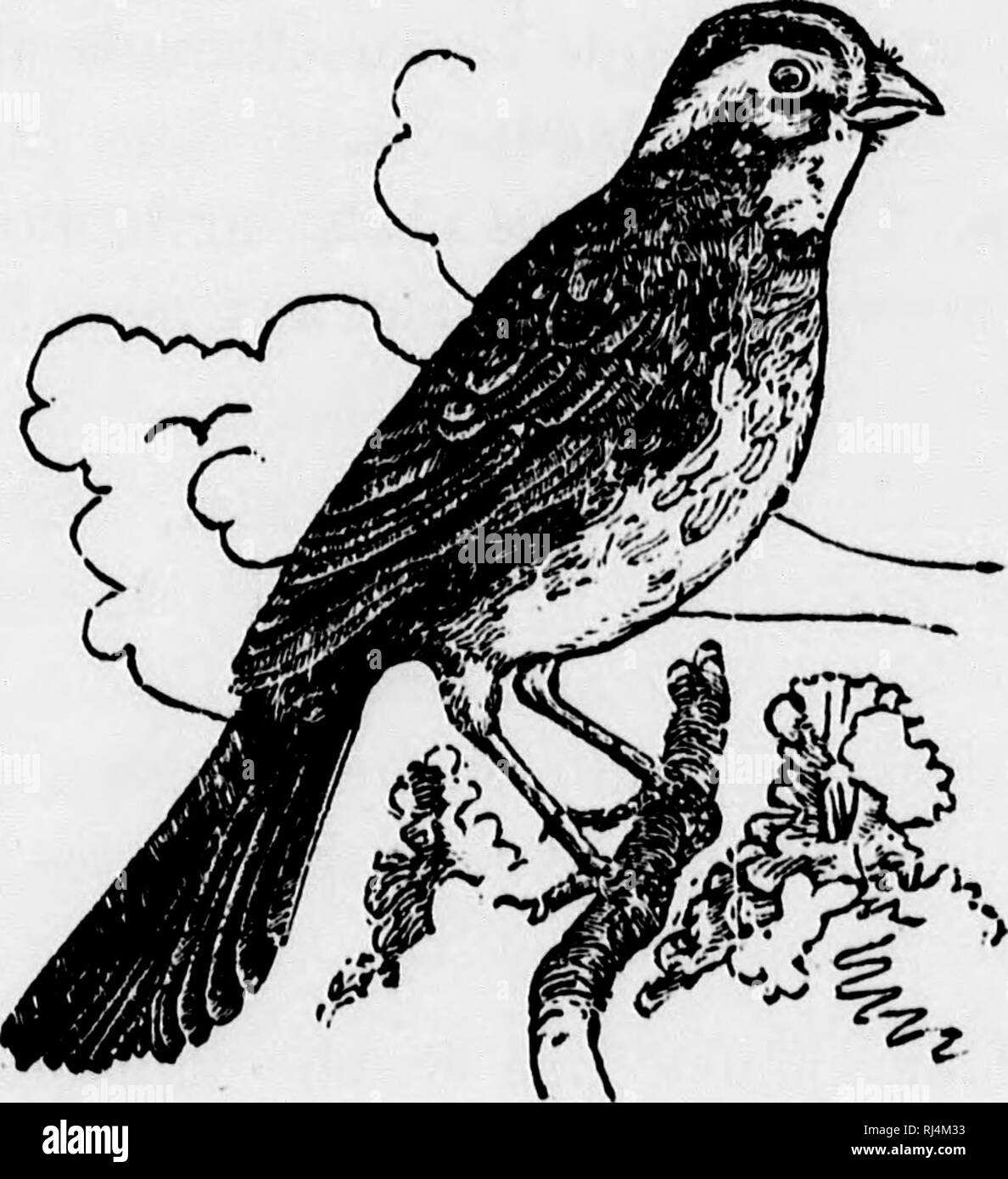 Sur les champs bleus fotografías e imágenes de alta resolución - Alamy