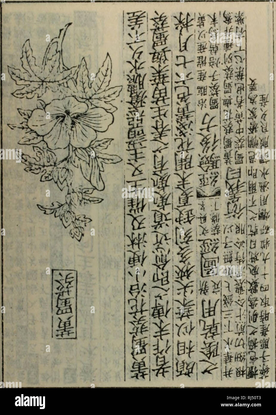 Chong Xiu Zhen El Jin Shi Zheng Lei Bei Yong Cao Yao Ea Ae