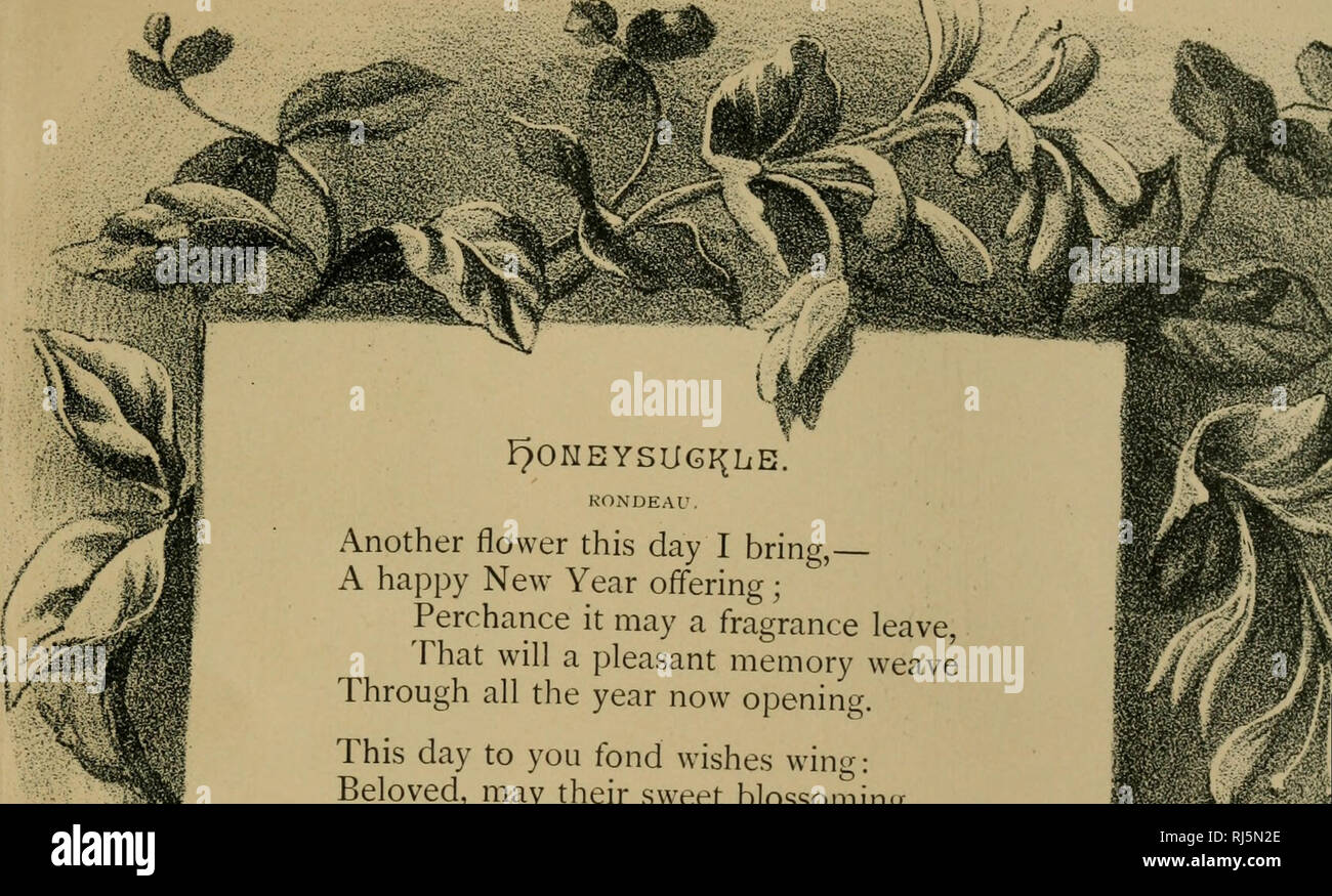 . Un saludo de Navidad:. Flores en la literatura. Este día le gustan deseos wini,. Amados, sus dulces pueden florecer en la vida es justo garland entretejer otra flor ! Y es posible una tranquila fragancia se aferran a cada flor el tipo fates fling sobre tu camino ; ne'er causa que el duelo puede tu corazón contento recibir; y cada año subsiguiente pero trae otra flor!. Por favor tenga en cuenta que estas imágenes son extraídas de la página escaneada imágenes que podrían haber sido mejoradas digitalmente para mejorar la legibilidad, la coloración y el aspecto de estas ilustraciones pueden no parecerse perfectamente a la obra original. Blanco, James T Foto de stock