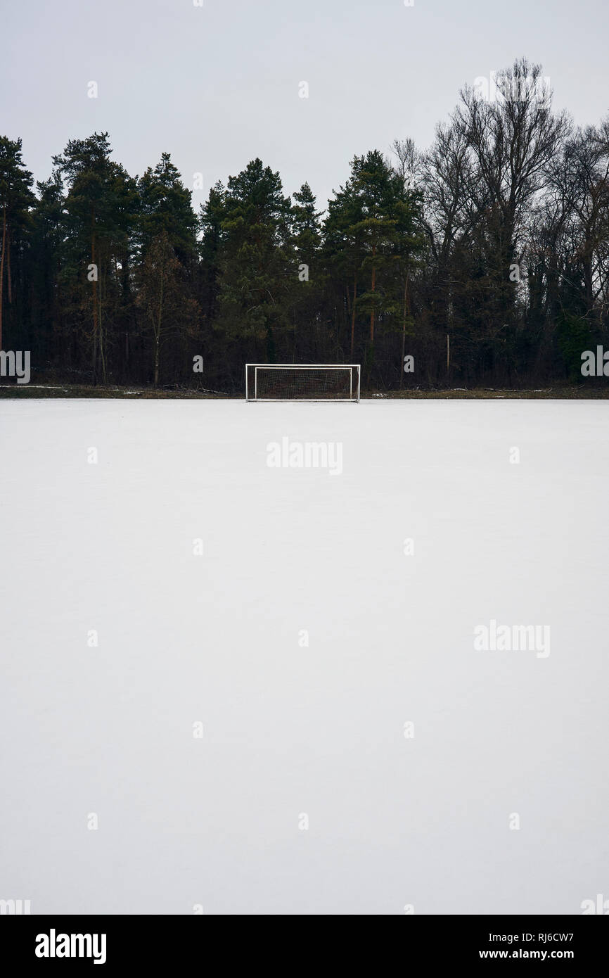 Un invierno im Fußballtor einem Waldrand, Spielfeld, Schnee Foto de stock