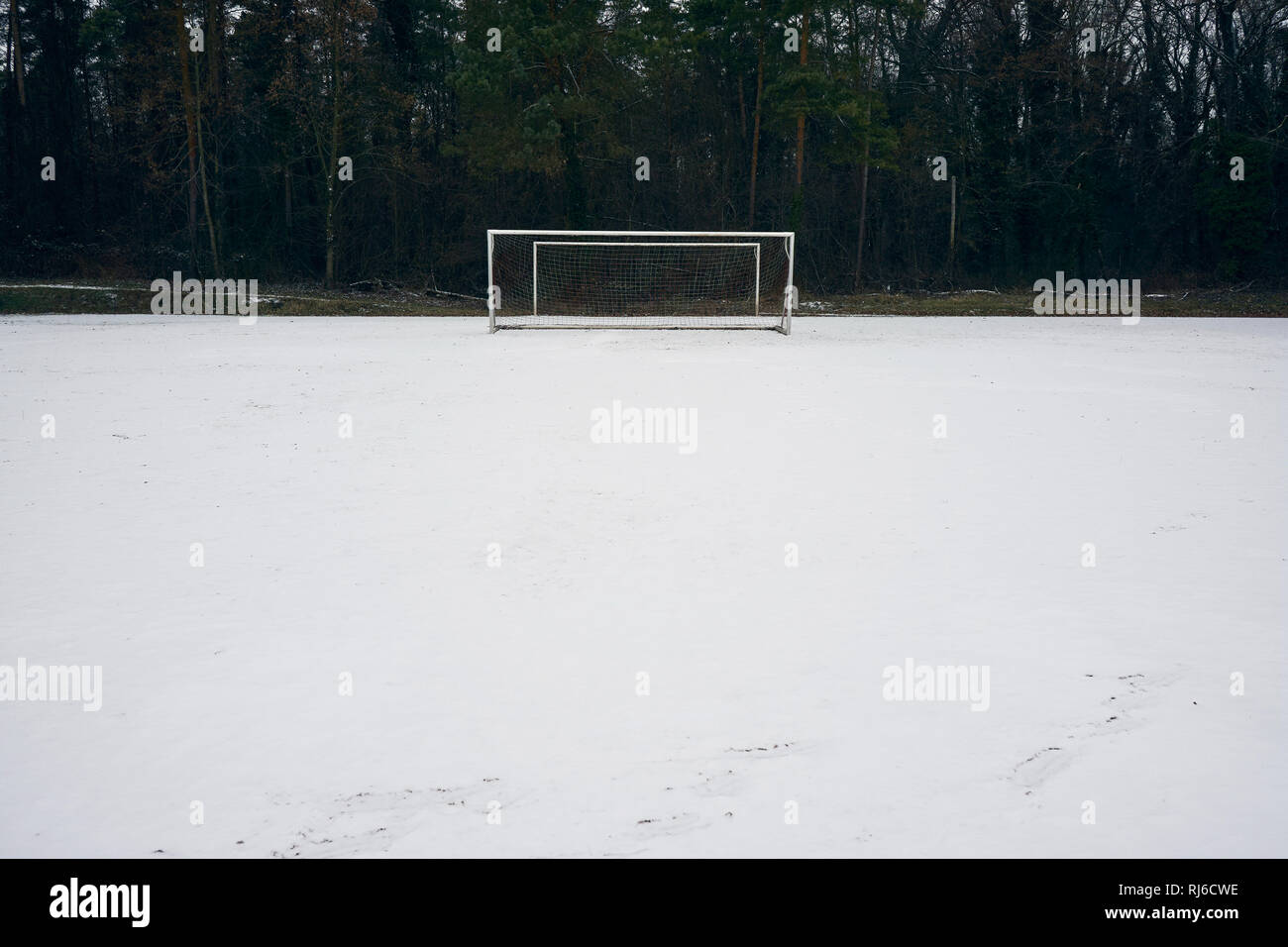 Un invierno im Fußballtor einem Waldrand, Spielfeld, Schnee Foto de stock
