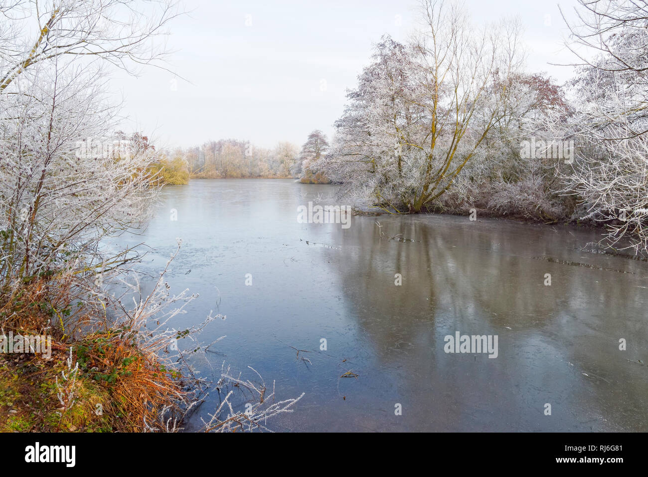 En una fría mañana, Misty, mirando hacia abajo la longitud de un lago congelado superficial, rodeada de árboles cubiertos de escarcha Foto de stock