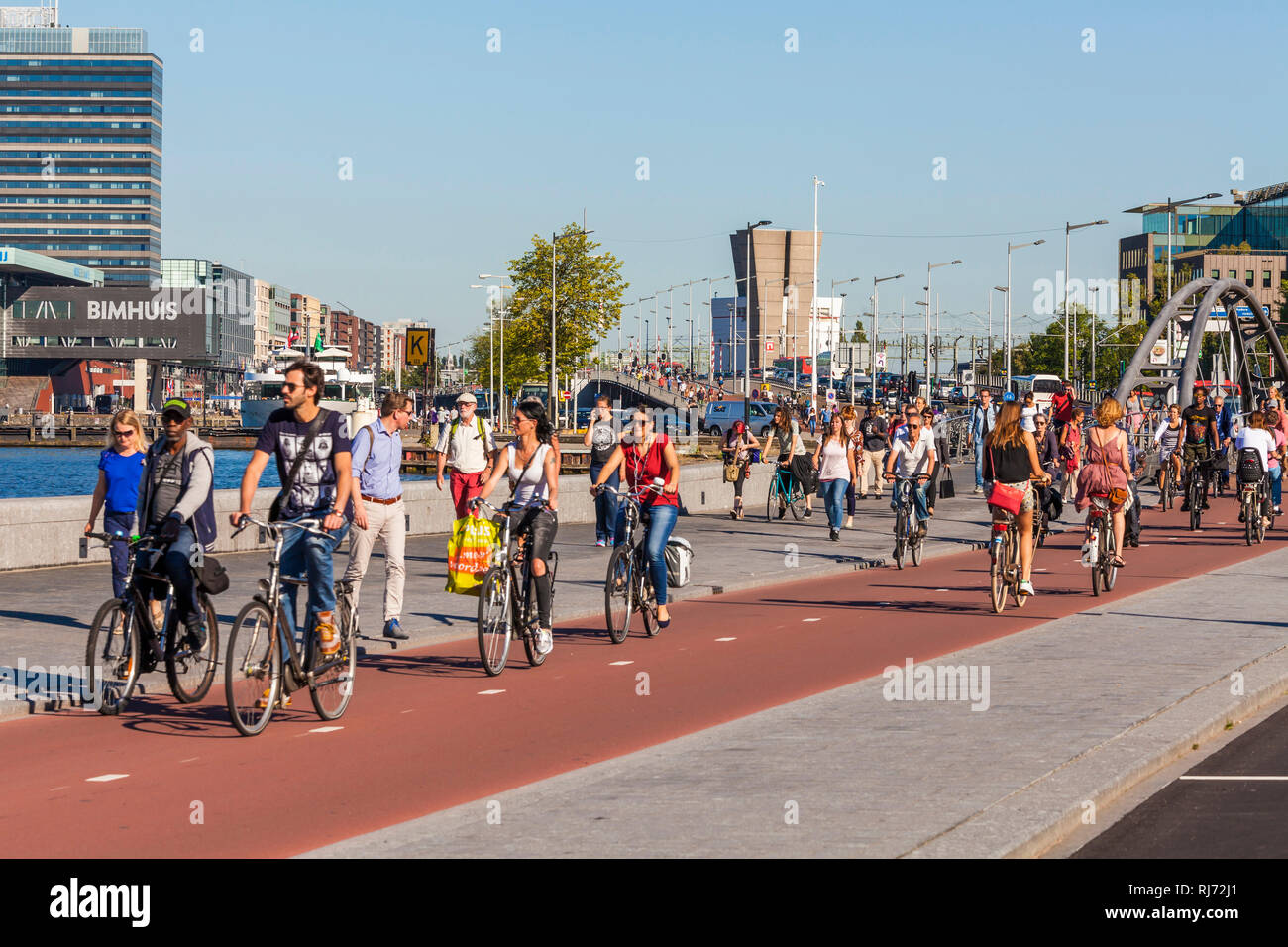 Niederlande, Amsterdam, Innenstadt, Radweg, viele Radfahrer, Fußgänger Foto de stock