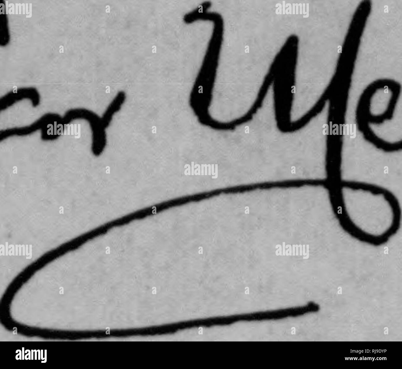 . C. Hart Merriam papeles incluida la correspondencia, los documentos