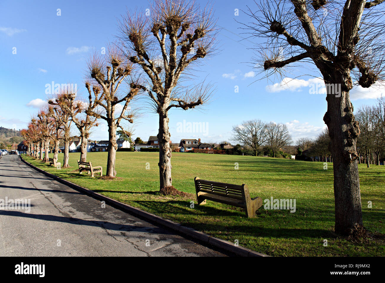 Weald Village, en Kent, en el sureste de Inglaterra, a unos 38 km de Londres. Foto de stock