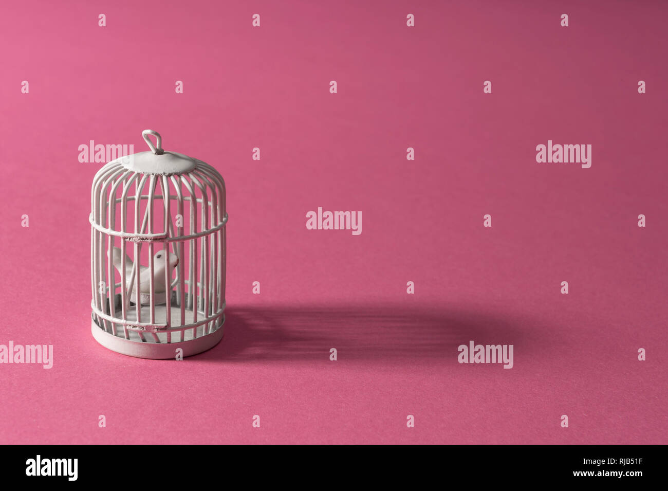 Bird atrapados en una jaula blanca sobre un fondo de color rosa. El arte minimalista diseño Foto de stock