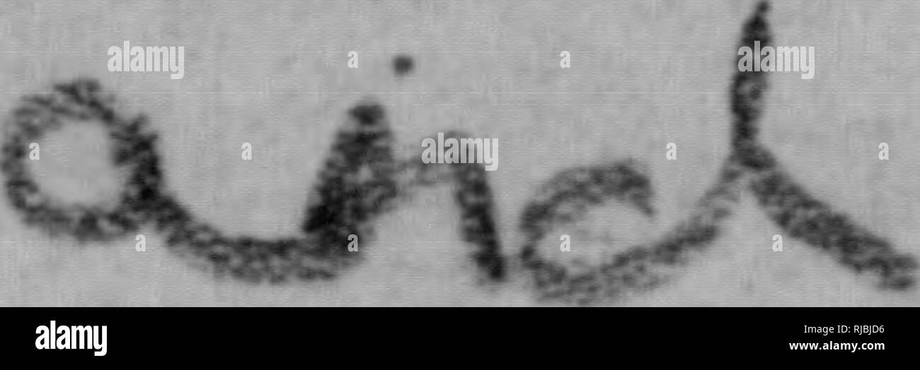 alaska bolsagage fees