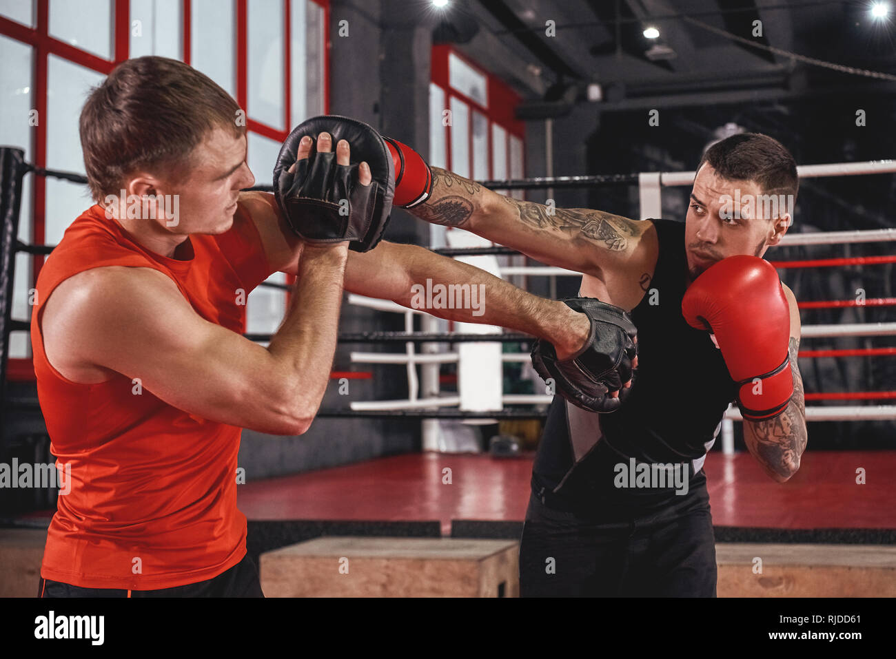 Entrenando duro. Atlético muscular tatuado hombre en ropa deportiva  formación sobre boxeo paws con pareja enfrente de cuadrilátero de boxeo  Fotografía de stock - Alamy