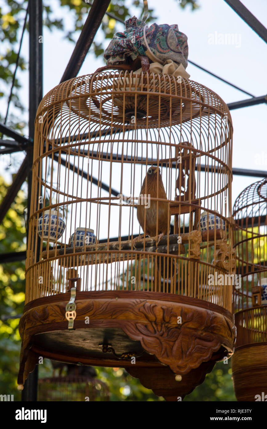 Antiguas jaulas de aves talladas a mano son parte del ambiente de Saigon  Bird Cafe en Tao Dan Park en Vietnam, sudeste de Asia Fotografía de stock -  Alamy