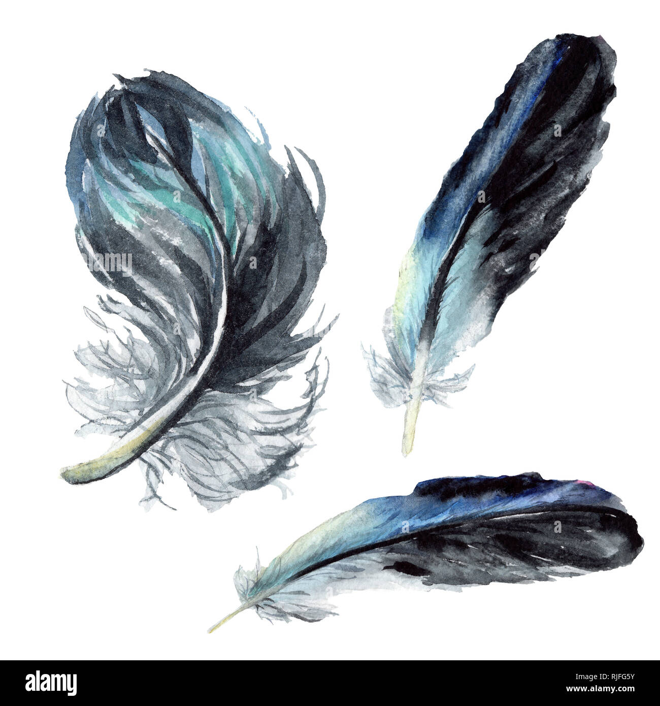 Ilustración de Conjunto De Plumas Azules De Acuarela Sobre Fondo Blanco  Pluma De Pájaro Plumas Variadas y más Vectores Libres de Derechos de Pluma  de ave - iStock