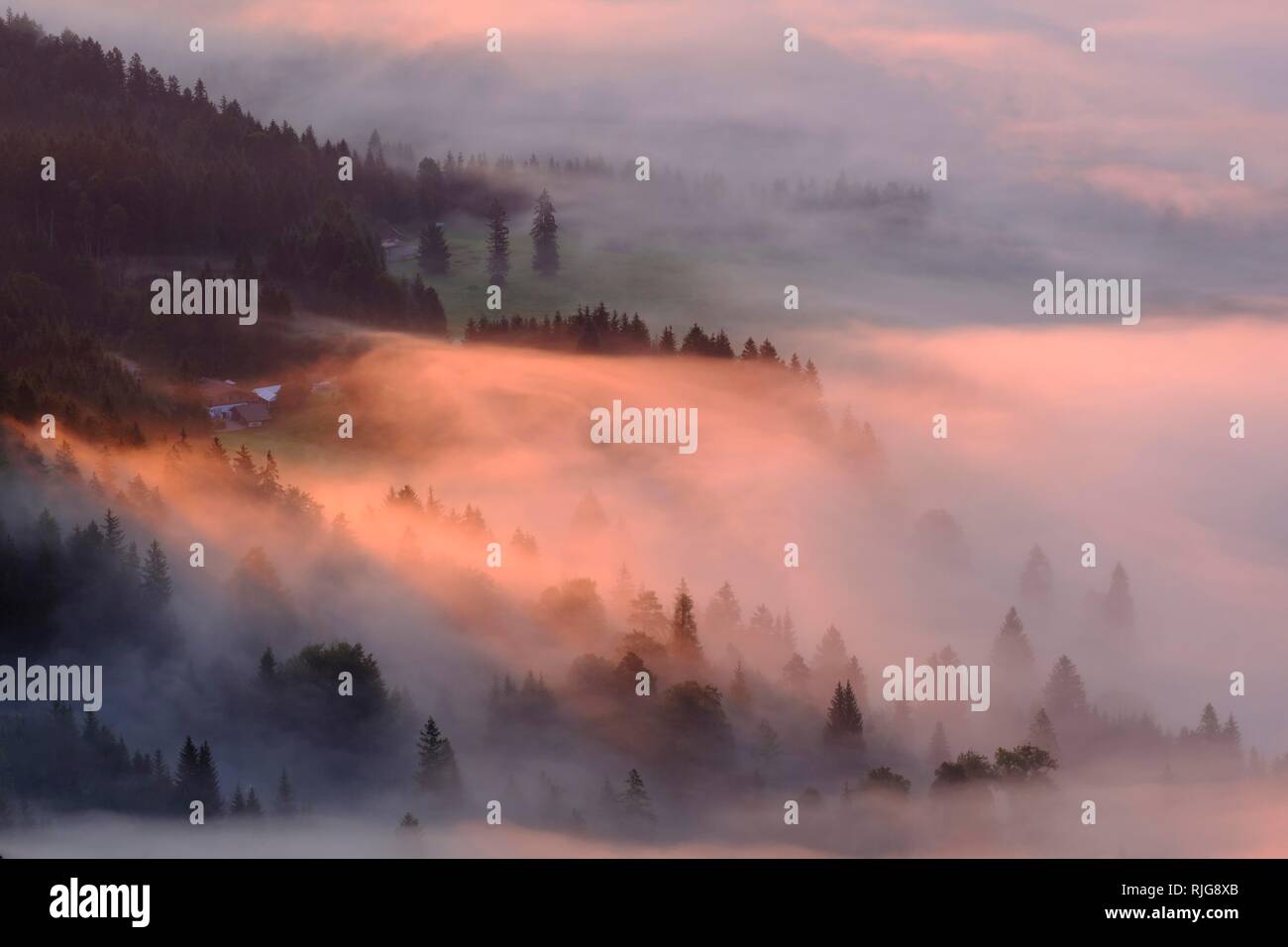 Niebla en el suelo, vista desde el amanecer, Krepelschrofen Wallgau, Werdenfelser Land, la Alta Baviera, Baviera, Alemania Foto de stock