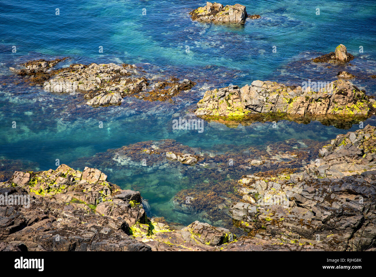 Afloramiento rocoso que muestra la claridad del mar sobre la costa de Alderney cerca de Roselle punto. Foto de stock