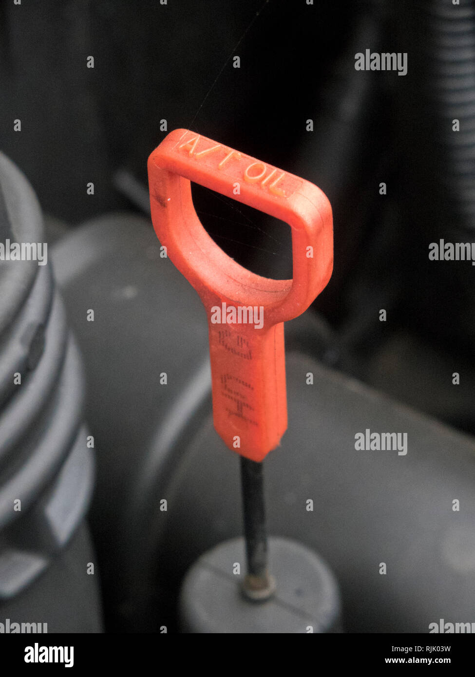 Miserable pequeño Competitivo Varilla de nivel de la transmisión automática del vehículo o depósito de  aceite de la caja de velocidades Fotografía de stock - Alamy