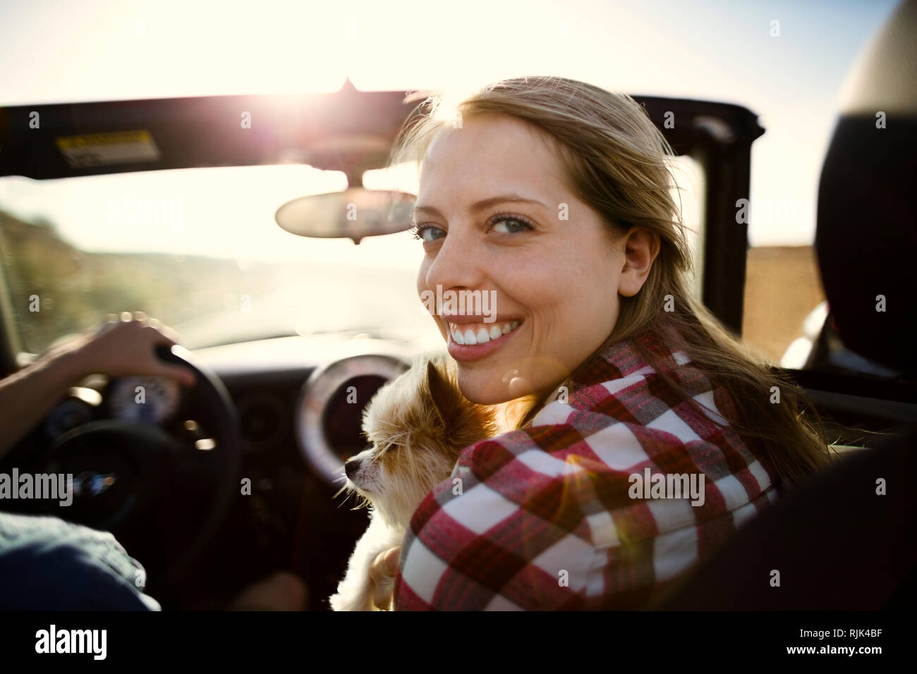 Retrato de una sonriente joven mujer sentada en el asiento del pasajero de un automóvil convertible con su pequeño perro. Foto de stock