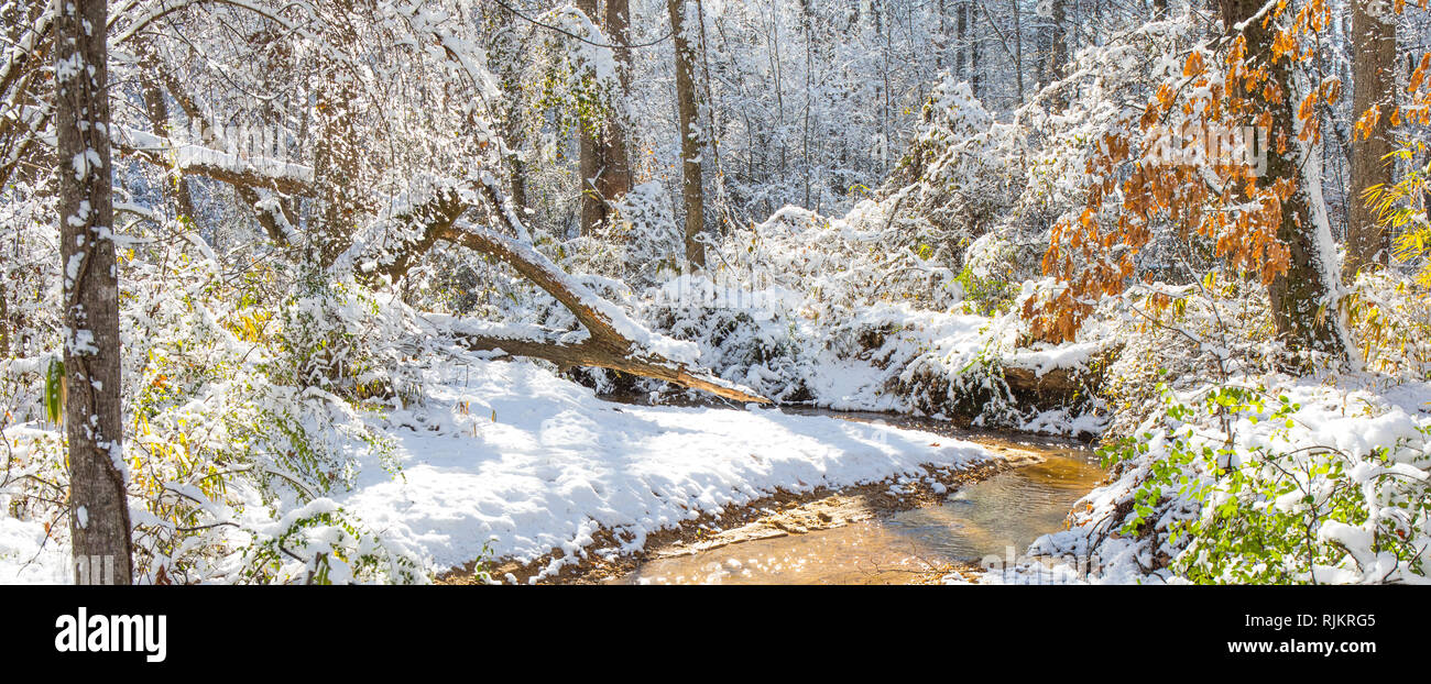 Una pintoresca escena invernal con un riachuelo y un toque de color de los follajes de árboles en un día soleado. Alta saturación y pone de relieve para hacer el colo Foto de stock