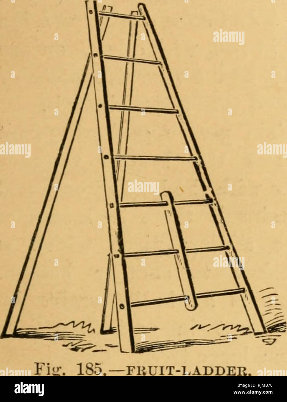 Barry's huerta de frutas. Fruit-cultura. [Desde el catálogo antiguo]. Las escaleras de mano. 477 montado sobre un bastidor con una pequeña rueda, por cual se puede fácilmente. La escalera
