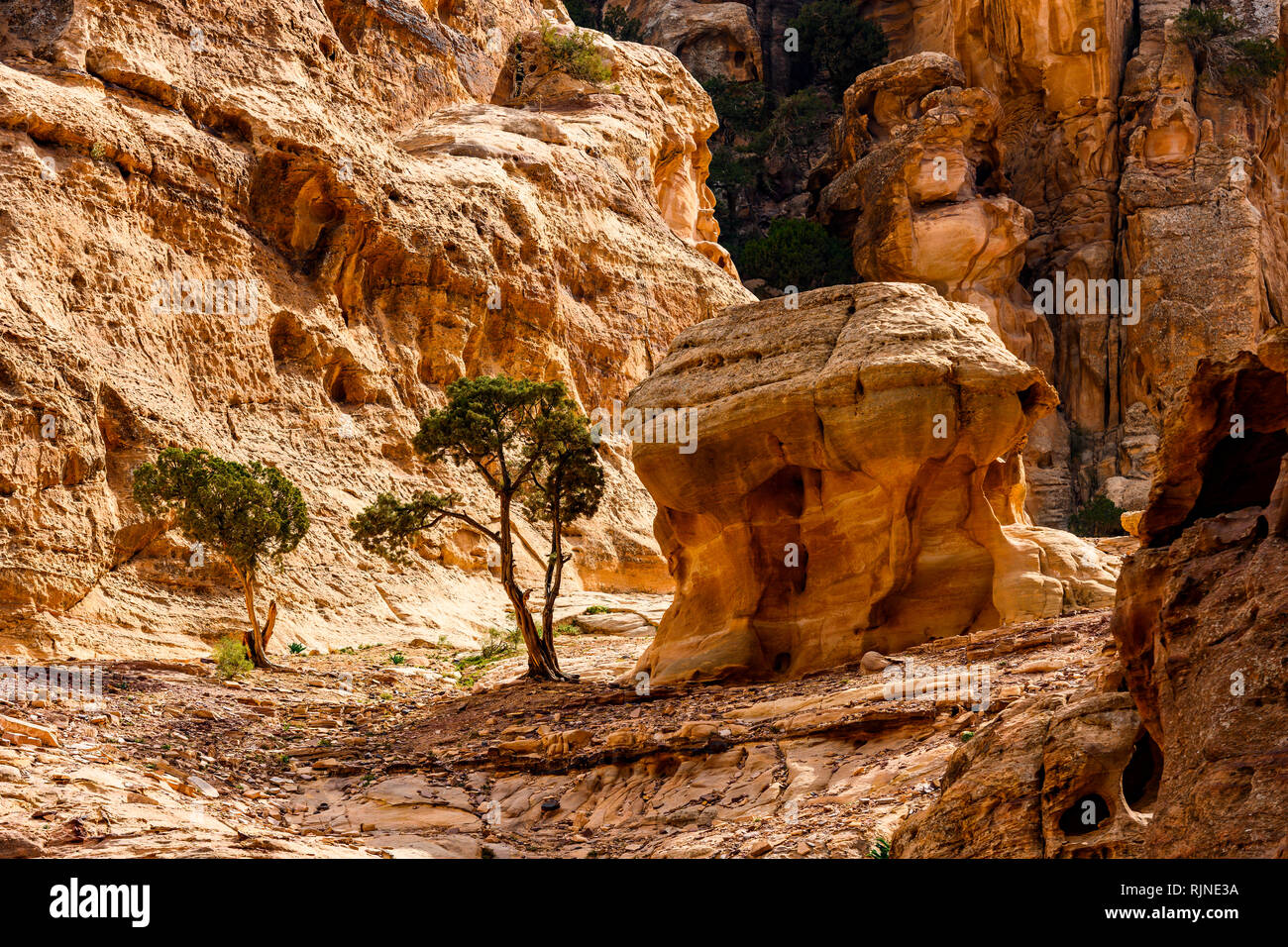 Increíbles vistas de un hermoso cañón de Petra con formaciones rocosas. Foto de stock