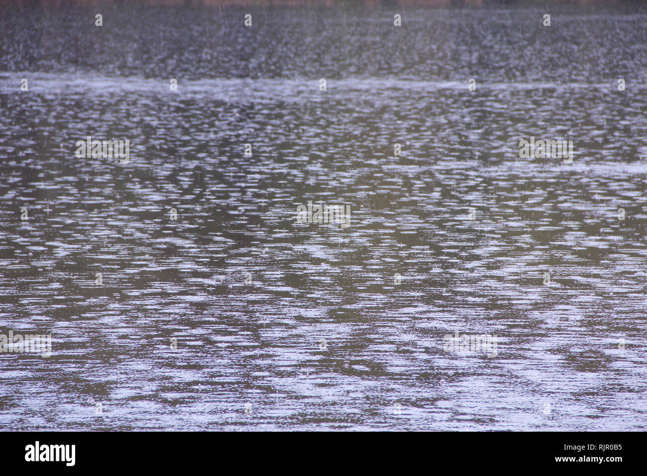 La lluvia sobre el río. Caen gotas de agua sobre la superficie del río durante la lluvia. Gotas de agua sobre la superficie del río Foto de stock