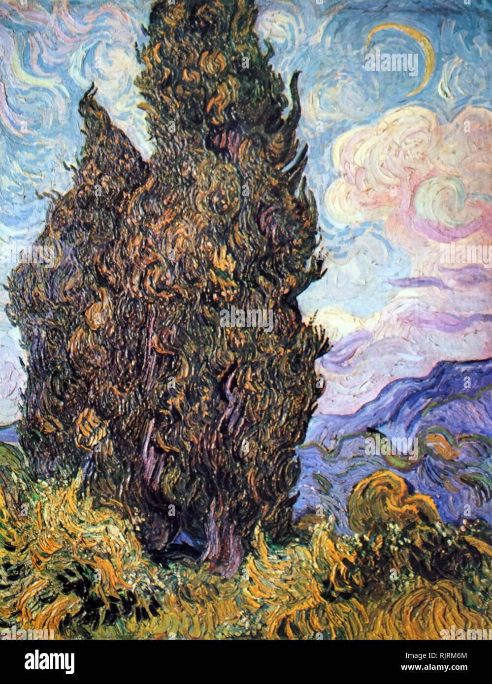 Cipreses; 1889, óleo sobre lienzo, por el artista holandés Vincent van Gogh (1853-1890). Pintada poco después de Van Gogh comenzó su año de estancia en el asilo de Saint Remy) Foto de stock
