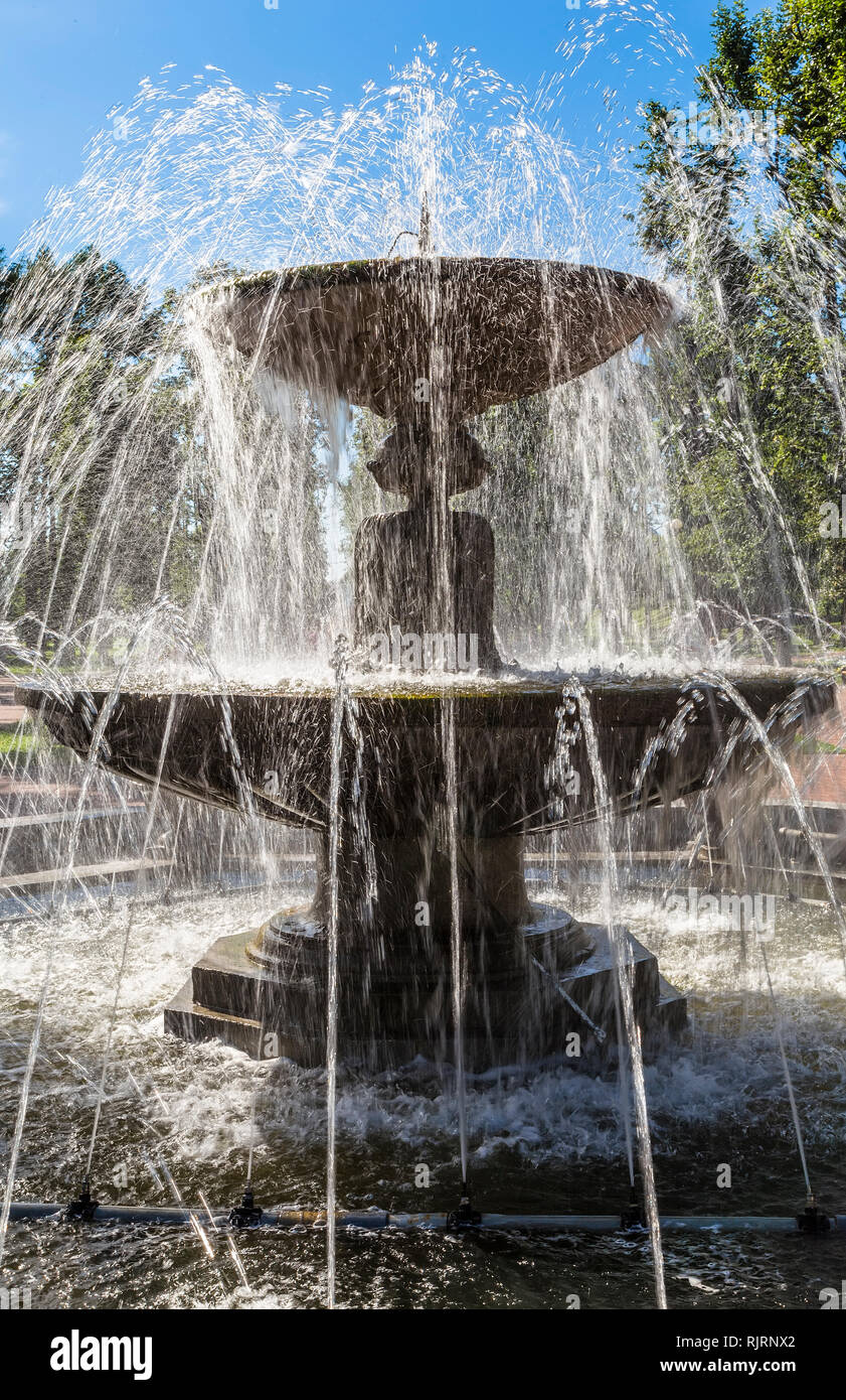 Tazón de fuente en Tver City Central Park en un caluroso día de verano. Rusia Foto de stock