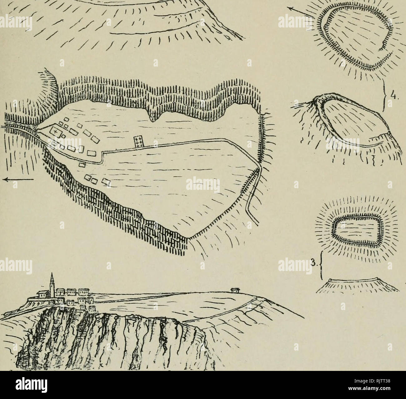 Atti Del Museo Civico Di Storia Naturale Di Trieste Historia Natural Historia Natural O Gt Gt N U Iiiw V Gt N Slababis Z L Chtie Mdj Fi Atl Lif L Ci Ifmai N Trieste G B Senag
