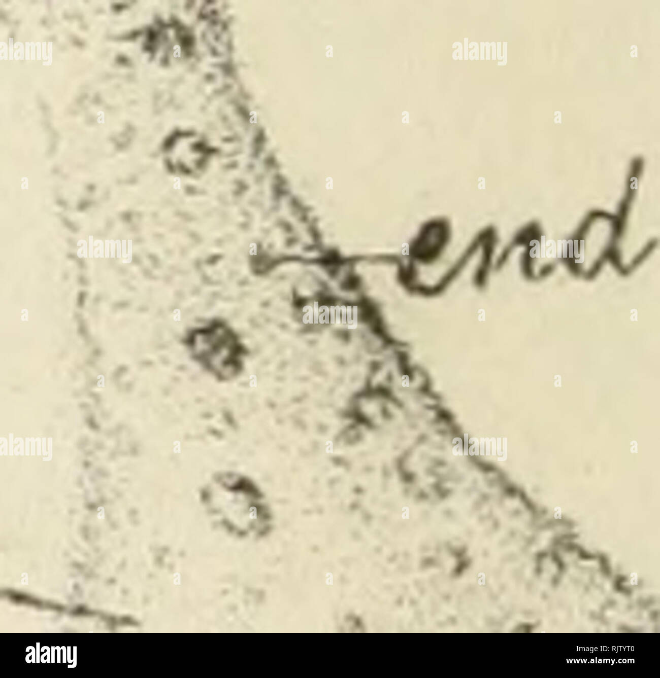 Bernardoni Fotos E Imagenes De Stock Pagina 9 Alamy