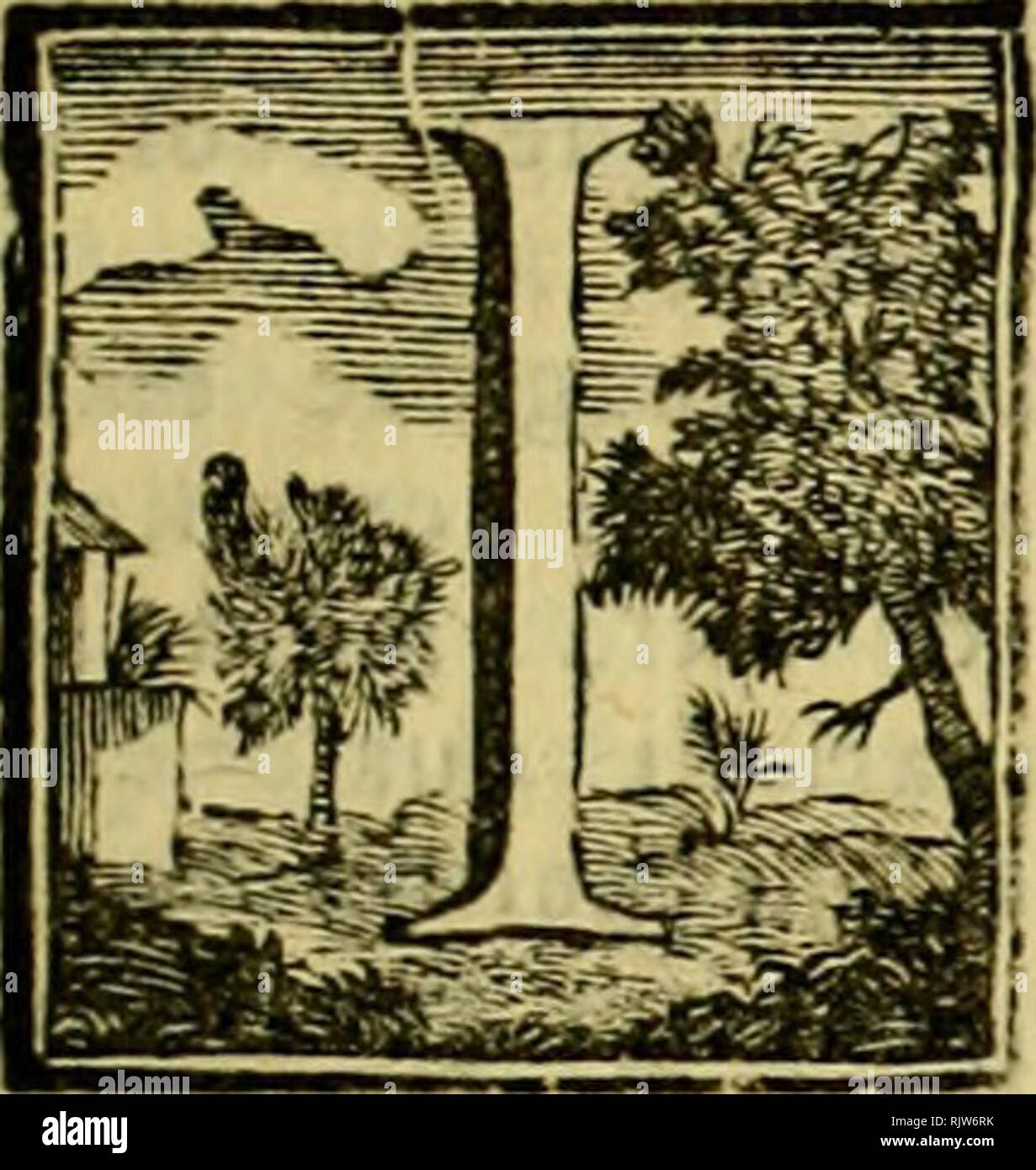 . Atti dell'Accademia delle Scienze di Siena, detta dei Fisiocritici. Dell' Accadimt/i; 107 E S P E R I M I E N T O S, Che ewfermi si Teorema della dt<vtJÃMe delle j fofx^e , e de' moti DEL DOTTORE CANDIDO PISTOJ MattematJci fanno bene quant* ovni ab- bia nelle dimofèrazionf della meca- nica il celebre Teorema dcJla divisio- ne , e compofiiione delle forze , e de* moti. Il Ni-wron Nel primo libro de* corollario fuoi principi al primo del- le fue leggi dopo aver dimolèrato il fuddetto ajuto Teorema coli' della pri- ftia , e feconda legge, ne aducir poi anu prova al Corol- lario fecondo tratta Foto de stock