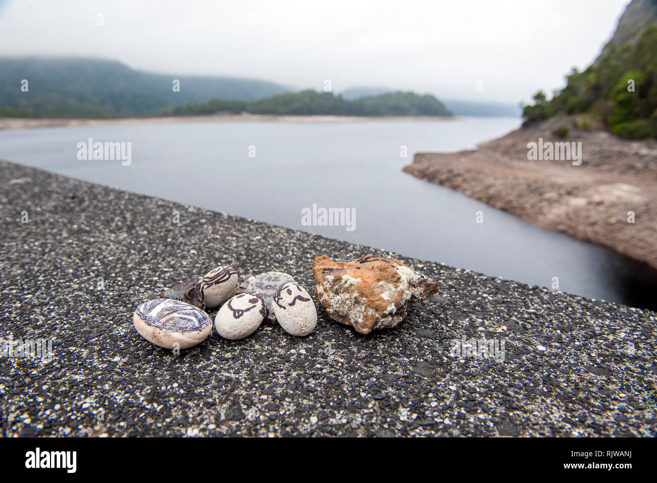 Pet piedras en el borde del lago de Mackintosh, un depósito que forman parte del plan de Hydro Electric Pieman cerca Tullah en Tasmania. Foto de stock