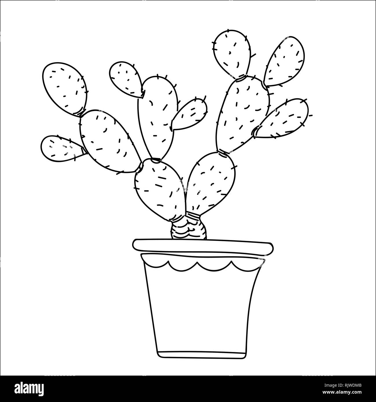 Cactus, aislar estilo dibujados a mano sobre fondo blanco, para los niños, los niños libro para colorear, los conceptos de educación y vegetales. Ilustración vectorial Ilustración del Vector