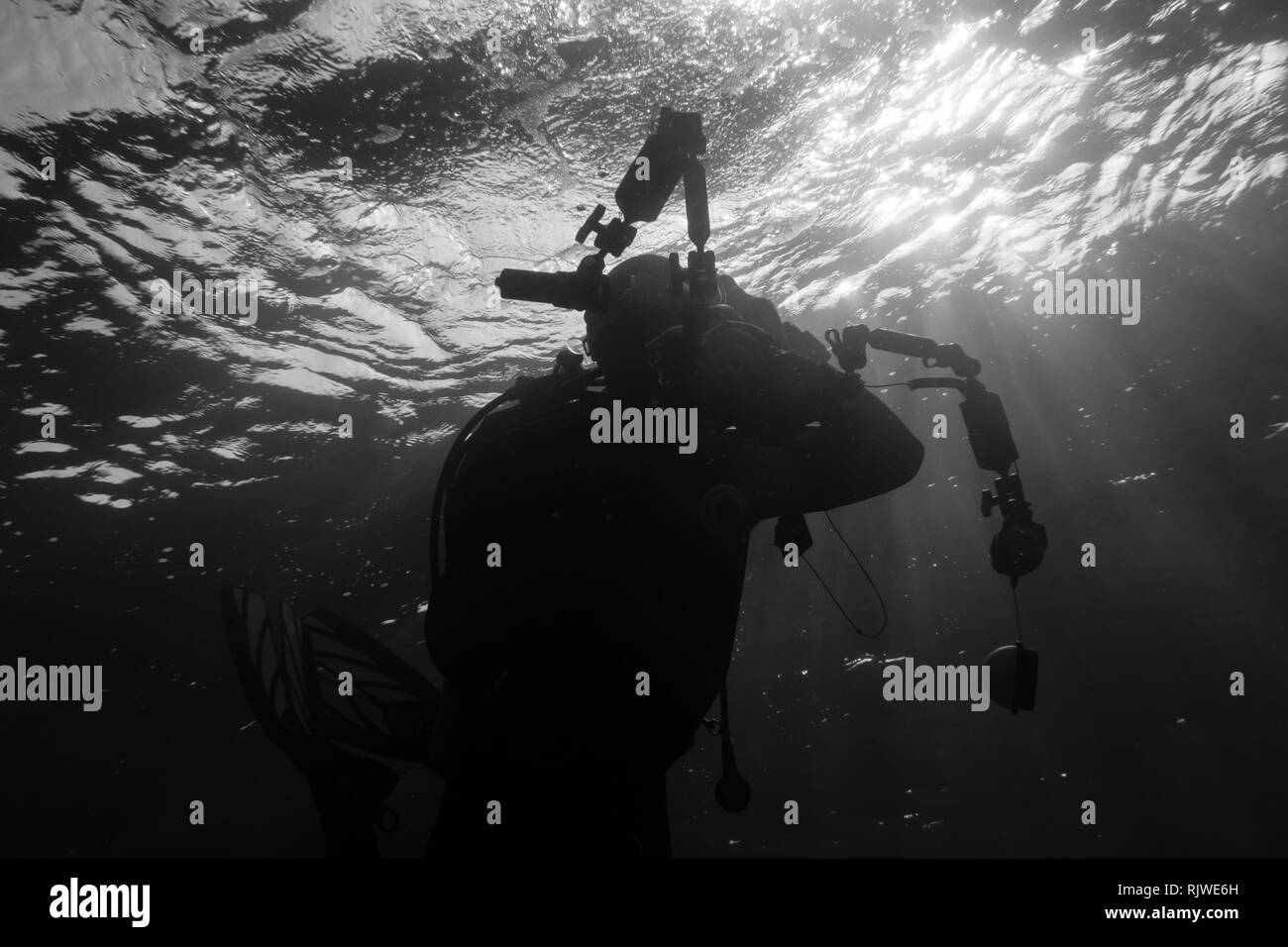 Silueta de un fotógrafo submarino buceo en el Mar Rojo, Egipto Foto de stock