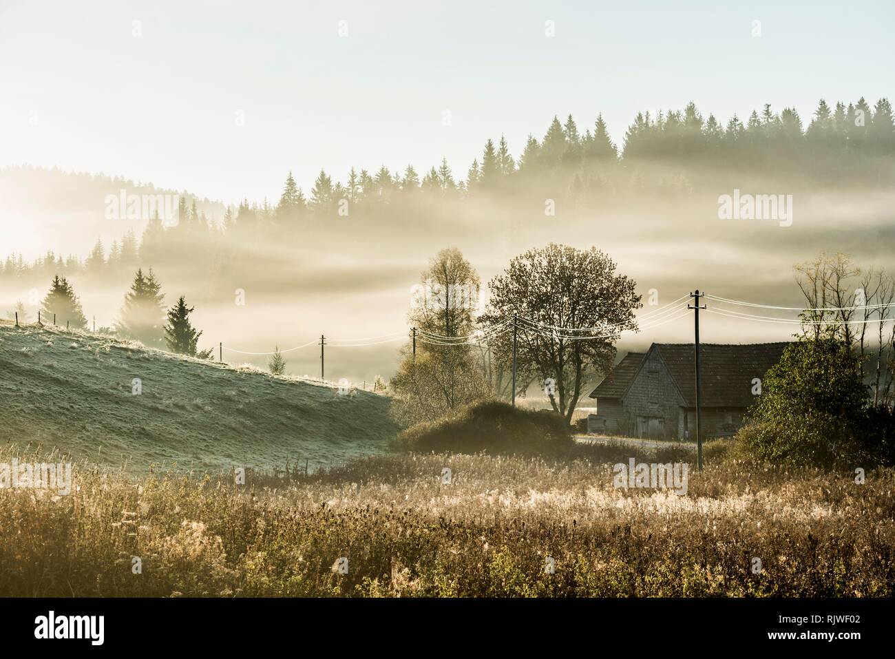 Paisaje montañoso en la niebla de la mañana en otoño, Jostal, Selva Negra, Baden-Württemberg, Alemania Foto de stock