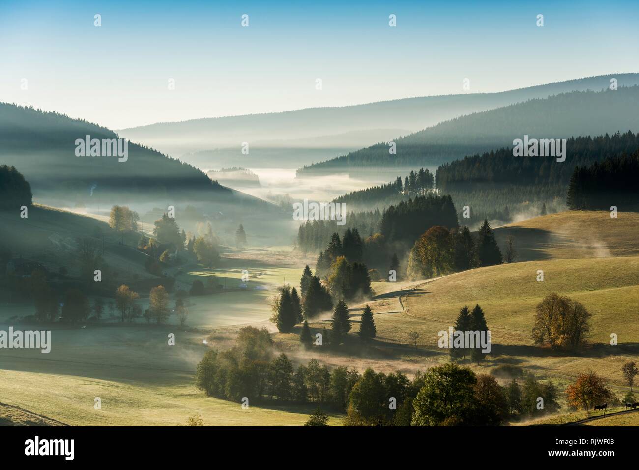Niebla matutina en otoño, Jostal, Selva Negra, Baden-Württemberg, Alemania Foto de stock
