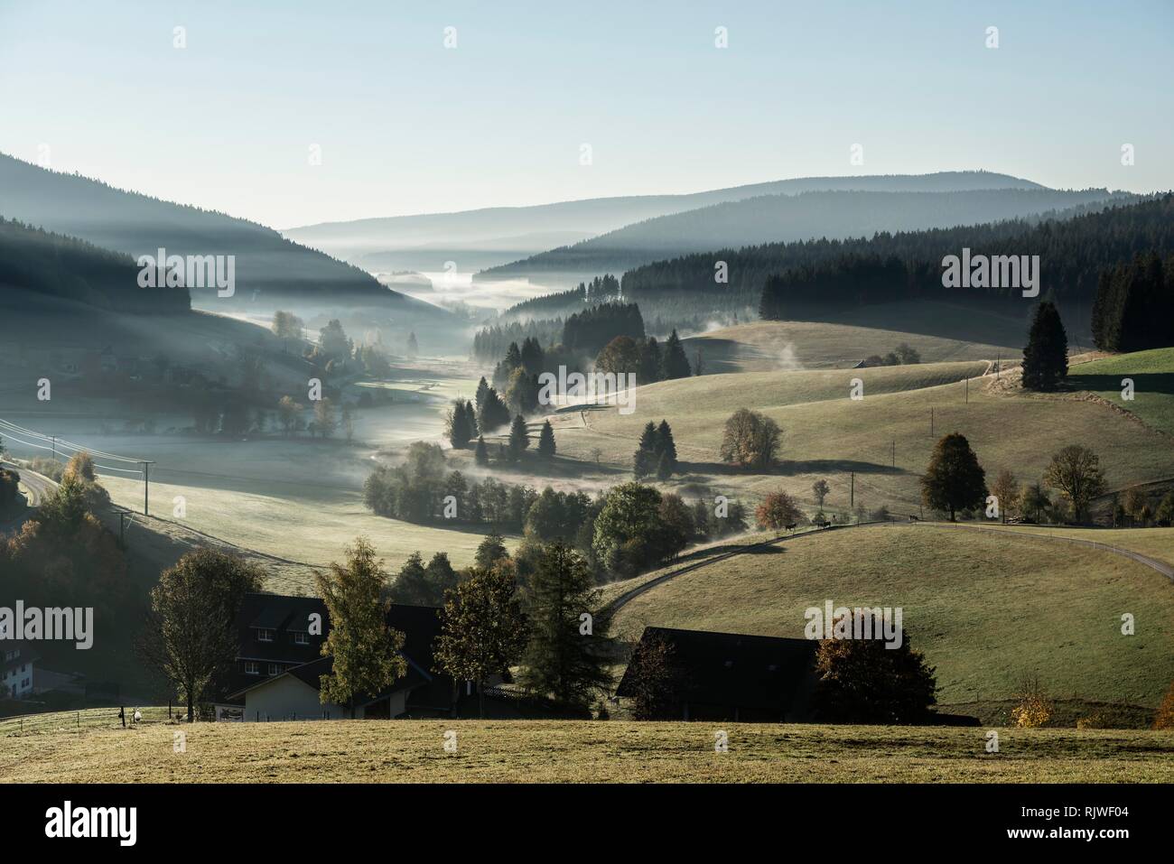 Niebla matutina en otoño, Jostal, Selva Negra, Baden-Württemberg, Alemania Foto de stock