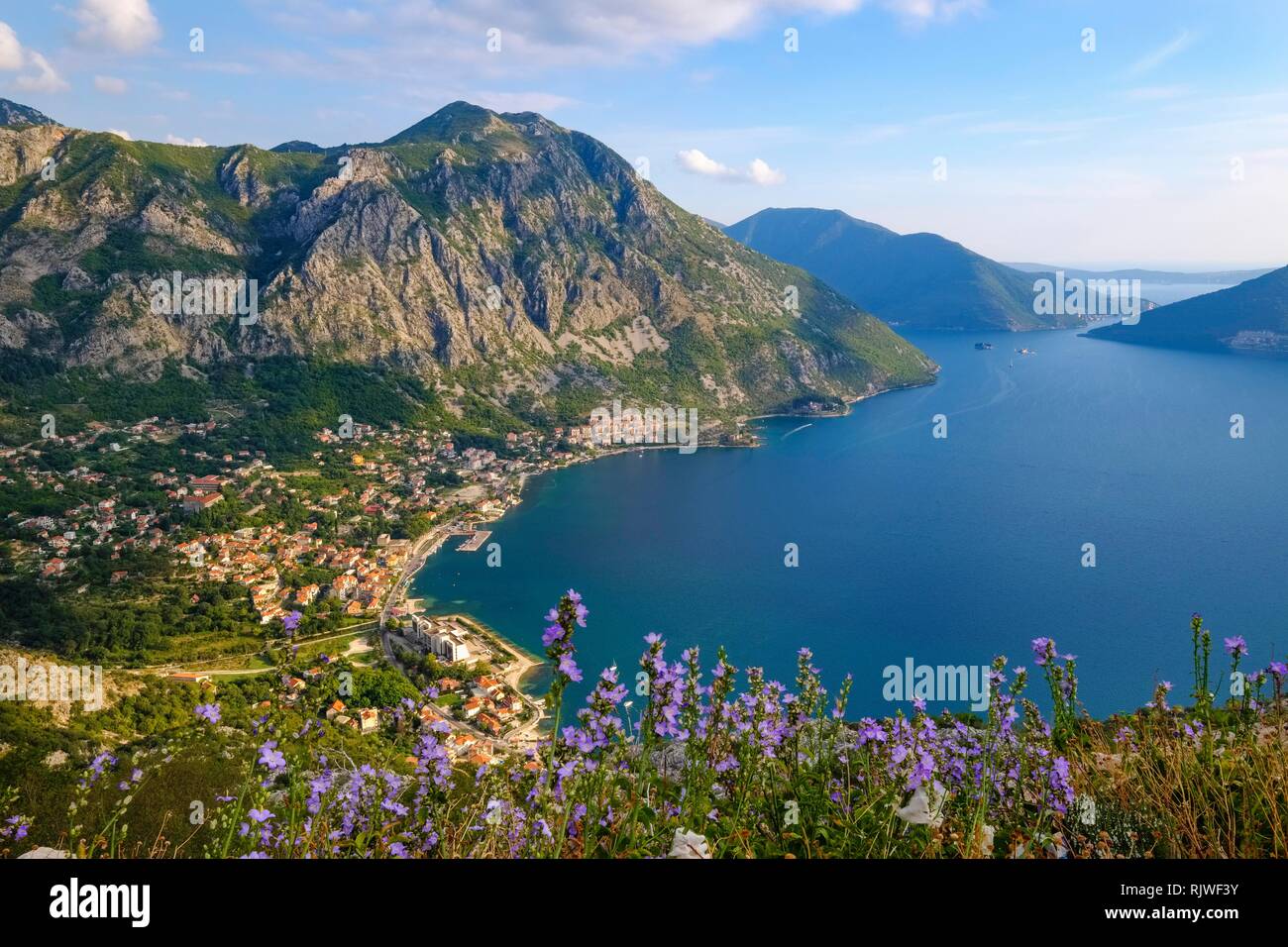 Risan, bahía de Kotor, provincia de Kotor, Montenegro Foto de stock