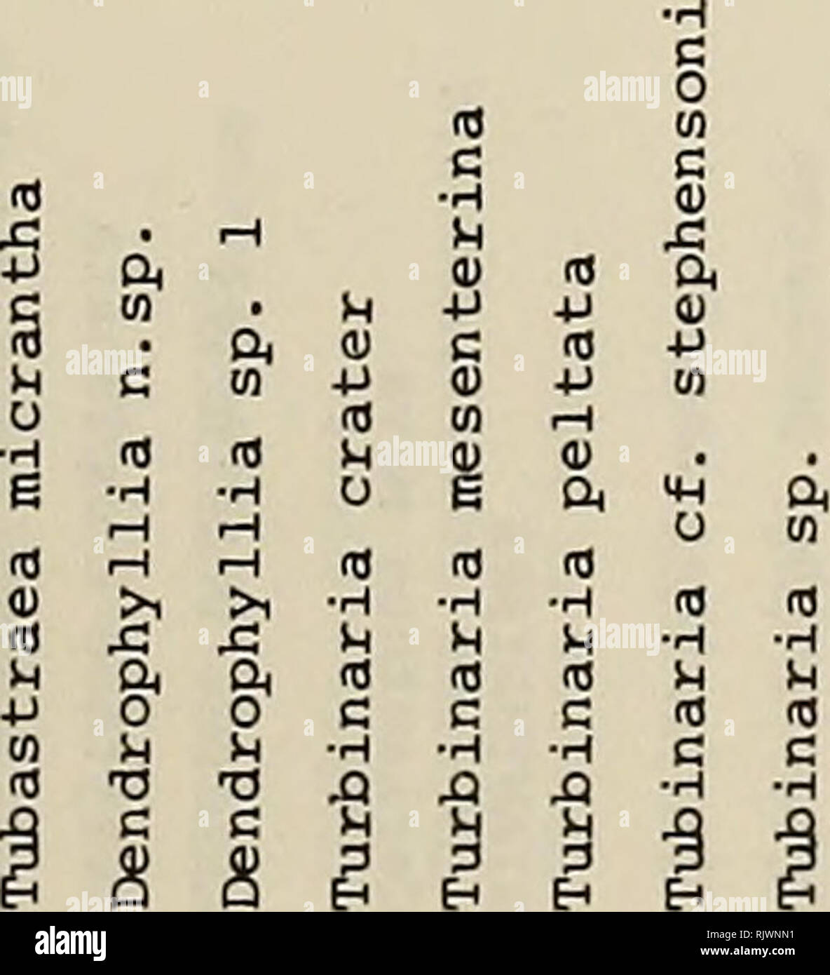Atolon Boletin De Investigacion Los Arrecifes De Coral Y Las Islas Biologia Marina Las Ciencias Marinas Gt 441 X X X X X X X A N X X X X M X