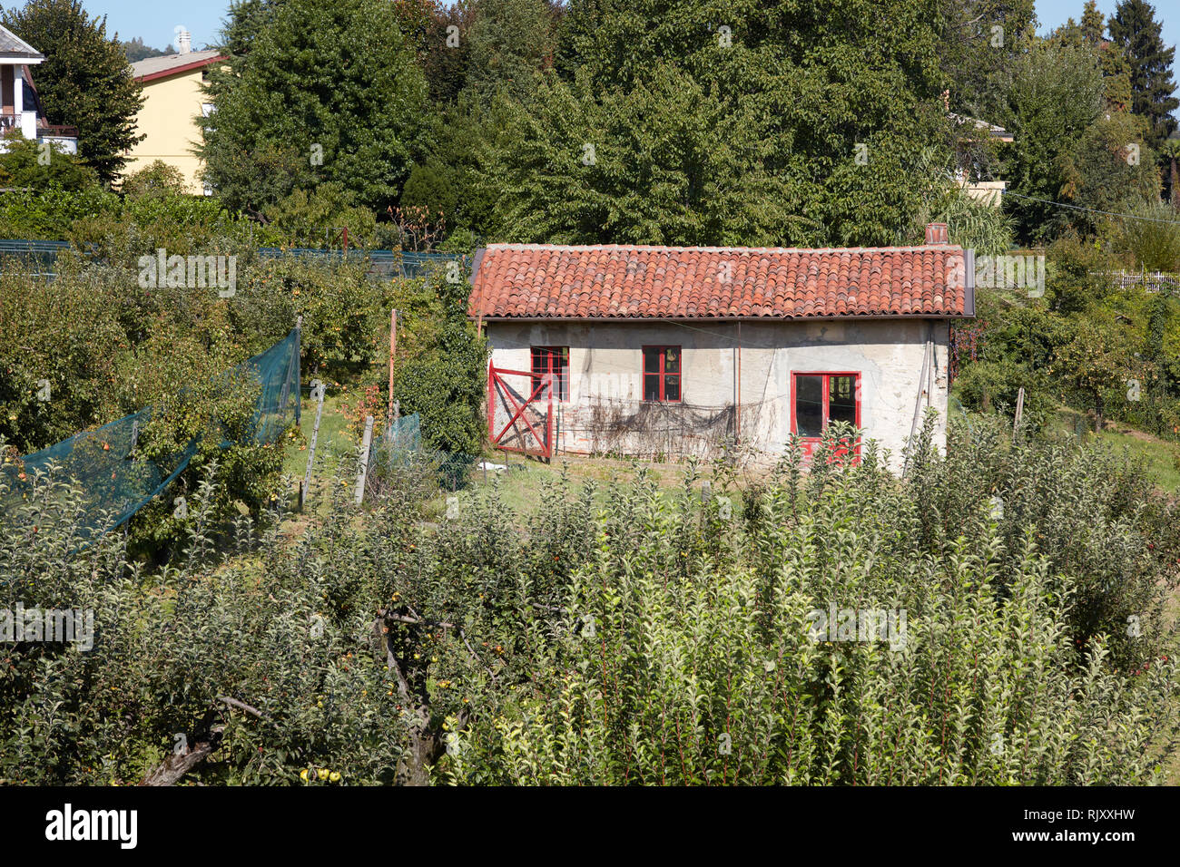Antiguo depósito en huerto en un día soleado de verano en Italia Foto de stock
