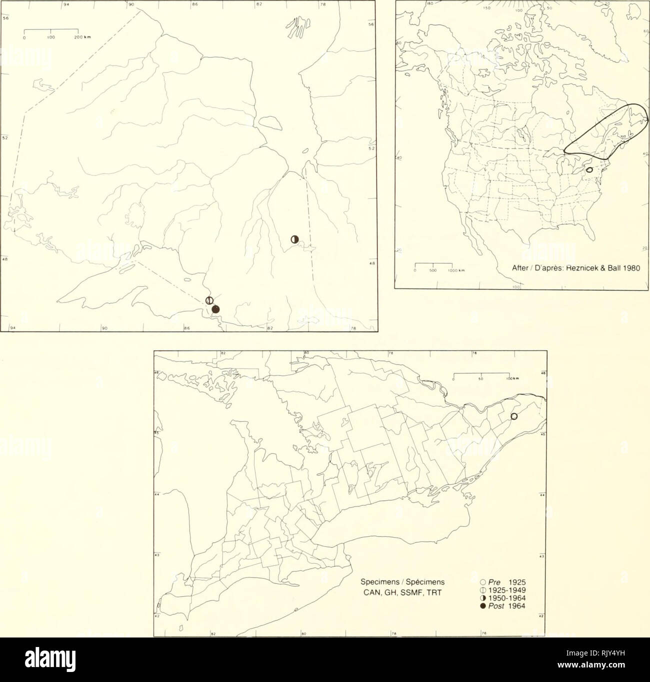 . Atlas de las plantas vasculares Raras de Ontario. Las plantas raras; la botánica. Atlas de las