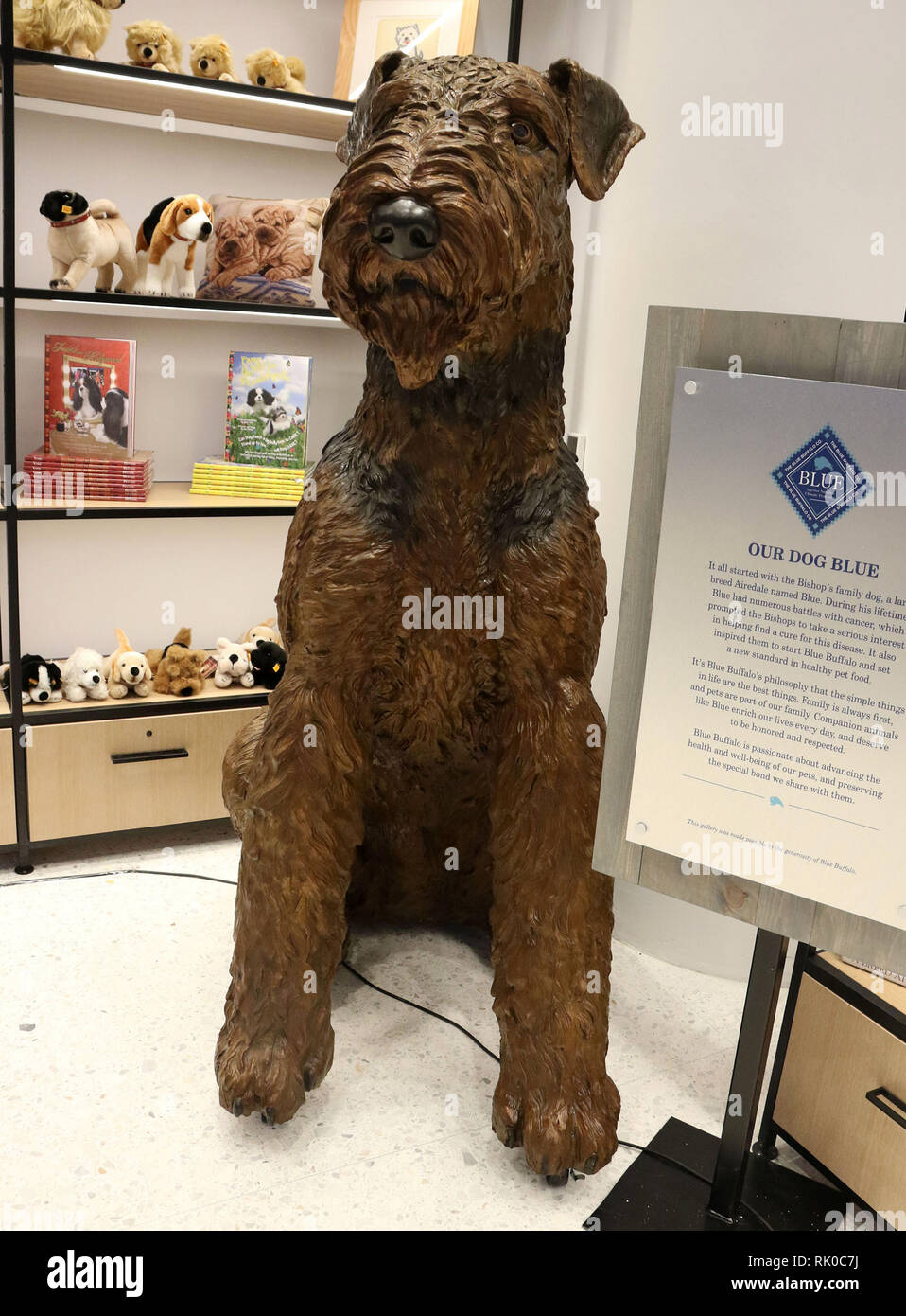 blue buffalo airedale