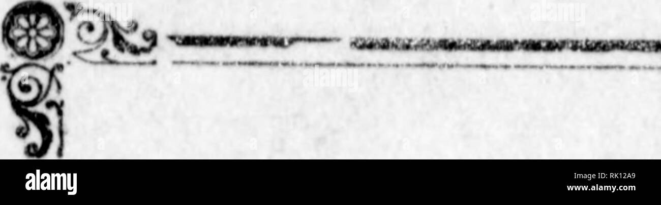 C Ote Fotos E Imagenes De Stock Alamy