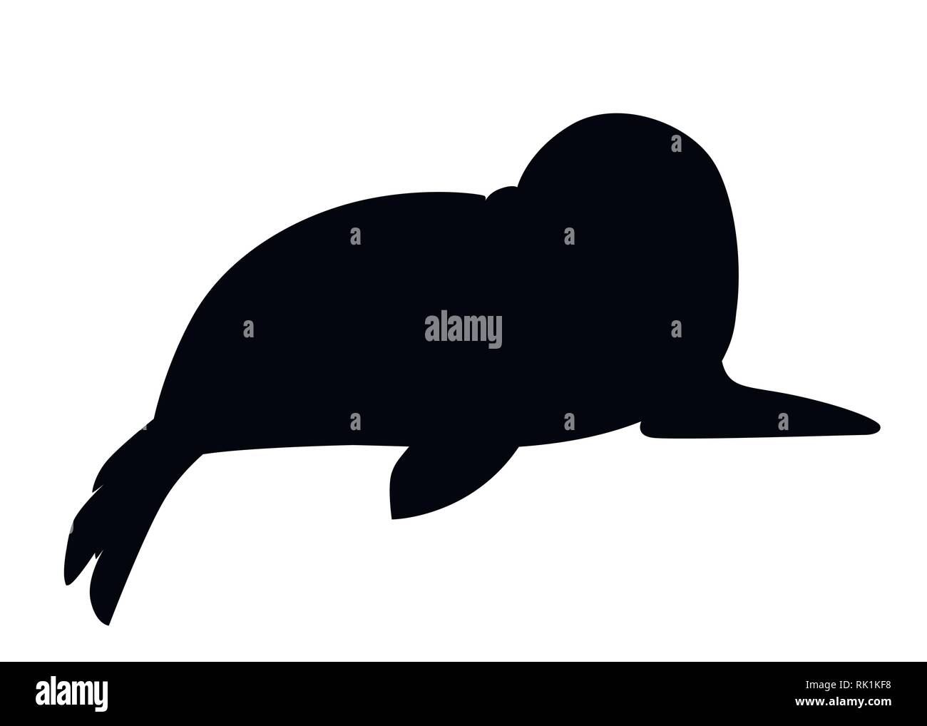 Silueta negra. Lindo bebé foca. Animales árticos, cartoon diseño plano. Ilustración vectorial aislado sobre fondo blanco. Ilustración del Vector