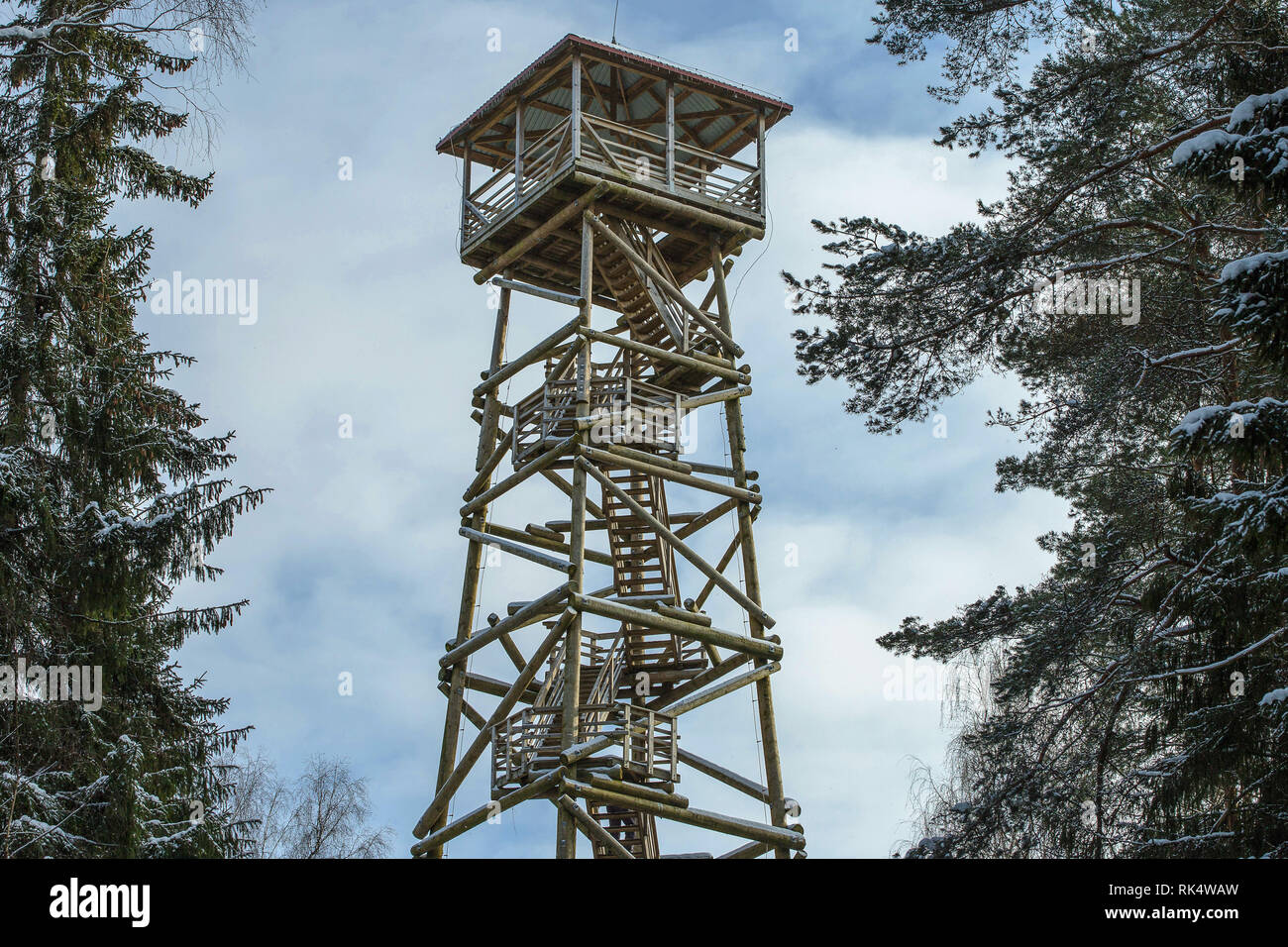 Torre de madera por los turistas para observar el paisaje circundante en bosque de invierno Foto de stock