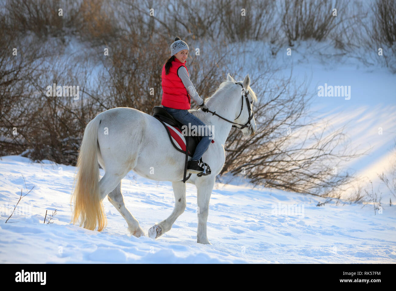 Pretty Woman montando a caballo a través de la nieve en la mañana de Navidad Foto de stock