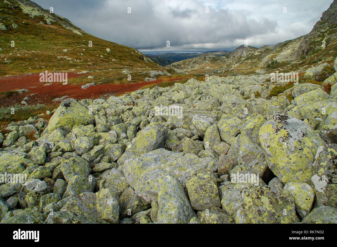 Rocas de color amarillo y rojo el césped en un impresionante paisaje de Telemark en Noruega Foto de stock
