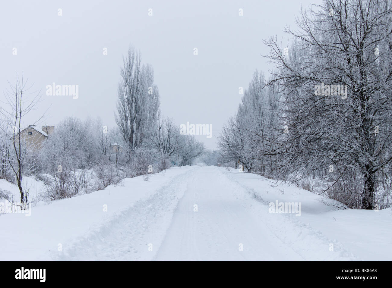 Árboles de nieve de invierno, Año Nuevo, el estado de ánimo. Foto de stock