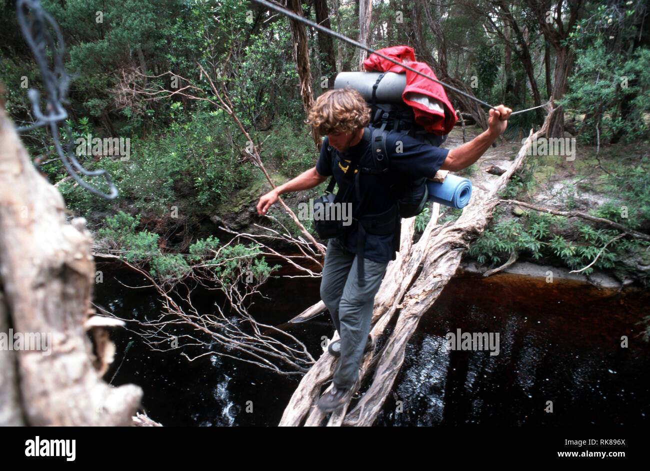 Un miembro del equipo camina a través de una red de sucursales endebles tirado sobre un arroyo, con una cuerda atada a la estabilidad. Aunque principalmente de seguros, completando la Foto de stock